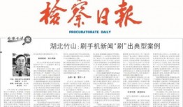 新闻报料热点爆料案例范文,真实案例深度剖析